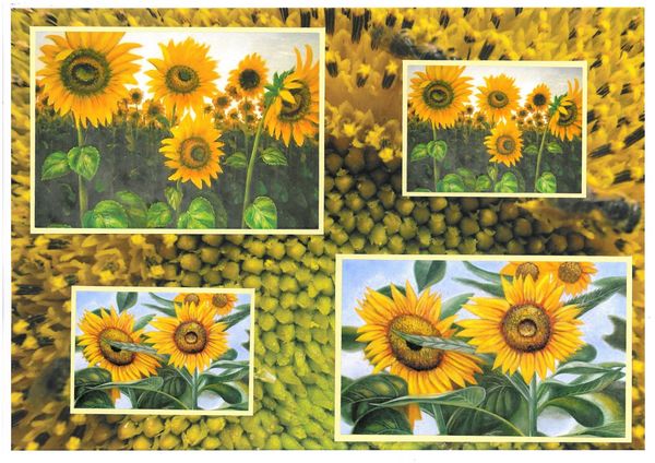 Sunflower Surprise All in 1 Design 2 - 7 Pages to DOWNLOAD