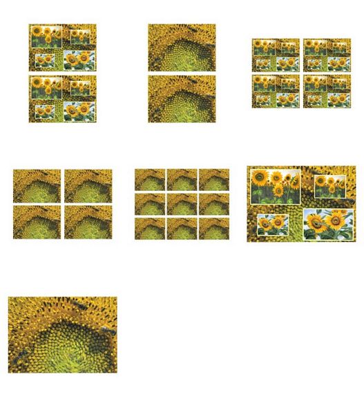 Sunflower Surprise All in 1 Design 2 - 7 Pages to DOWNLOAD