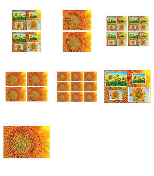 Sunflower Surprise All in 1 Design 3 - 7 Pages to DOWNLOAD