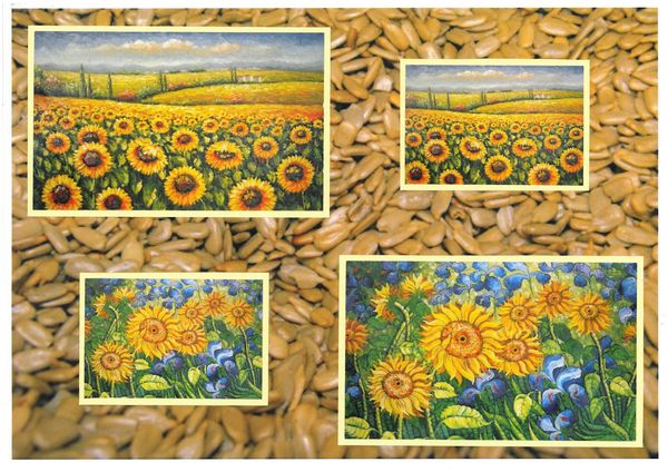 Sunflower Surprise All in 1 Design 6 - 7 Pages DOWNLOAD