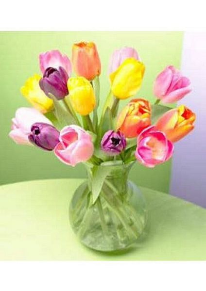 Assorted Tulips in a Vase including Project - 58 Pages to Download