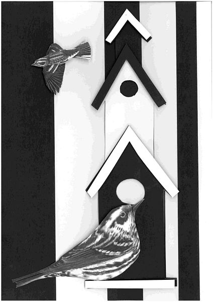 Alan's Birdhouse Card Project 03 - 10 pages to DOWNLOAD