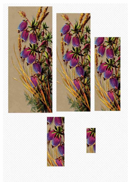 Botanical Set 01 Rectangle Stackers - 1 x A4 Page to DOWNLOAD