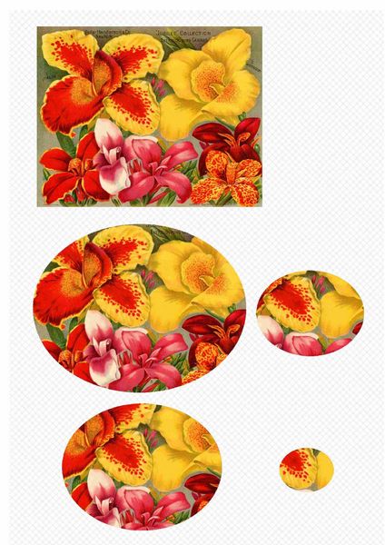 Botanical Set 20 Oval Stackers - 1 x A4 Page to DOWNLOAD