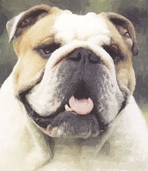 .Hand Painted Effect Bulldog Set Download - 14 Pages