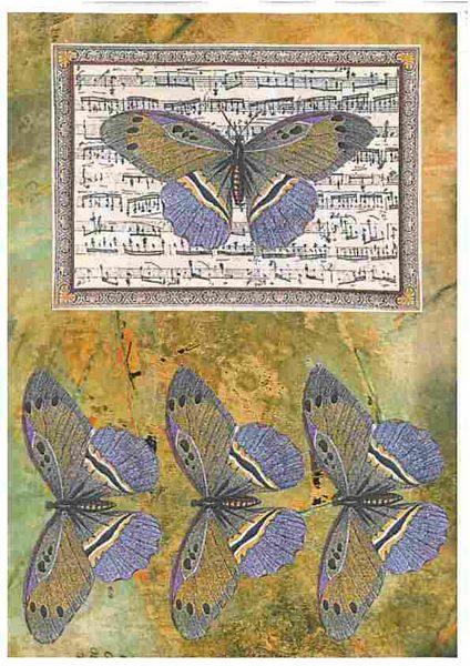 Butterfly and Dragonfly Decoupage - 5 A4 sheets to DOWNLOAD
