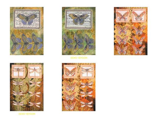 Butterfly and Dragonfly Decoupage - 5 A4 sheets to DOWNLOAD