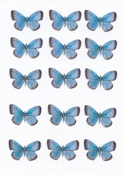 Butterfly Topper Set 01 - 10 Pages to Download