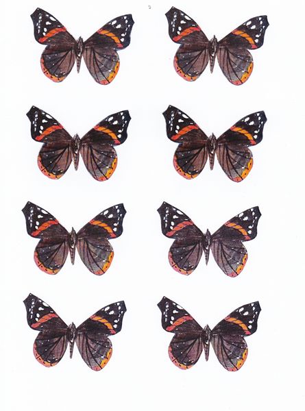 Butterfly Topper Set 02 - 10 Pages to Download
