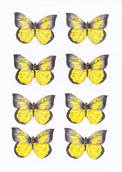 Butterfly Topper Set 03 - 10 Pages to Download