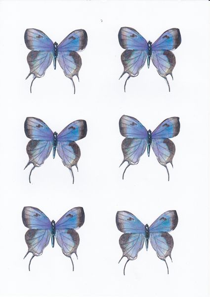 Butterfly Topper Set 04 - 10 Pages to Download