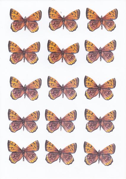 Butterfly Topper Set 05 - 10 Pages to Download