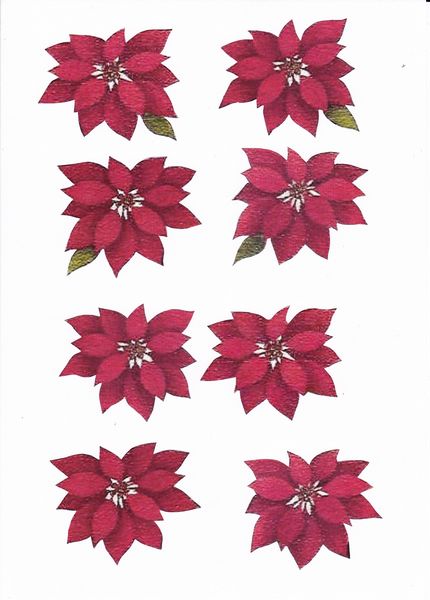 Christmas Poinsettia 3D Set - 5 x Pages to Download