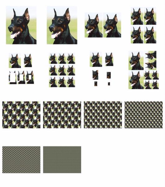 Hand Painted Effect Doberman - 14 Sheets to Download