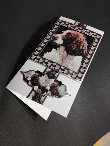 Spaniel Card Project 02 - 10 Pages to Download