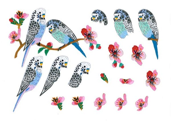 Dot's Heirlooms Budgie Set 2 - 20 x A4 Sheets <b>DOWNLOAD