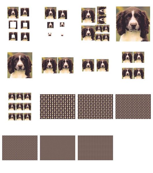 Hand Painted Effect English Springer Spaniel Set - 15 Pages