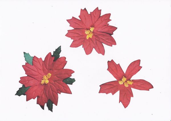 Red Poinsettia 3d set - 9 x A4 Pages to DOWNLOAD