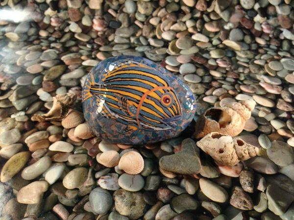 Mosaic Fish Stone Project - Click DOWNLOAD below and enter FREE@FREE.com