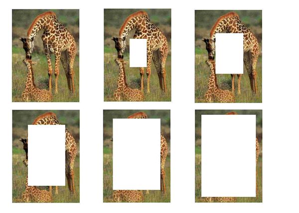 Giraffe Inverted Stackers - 1 x A4 Page to DOWNLOAD