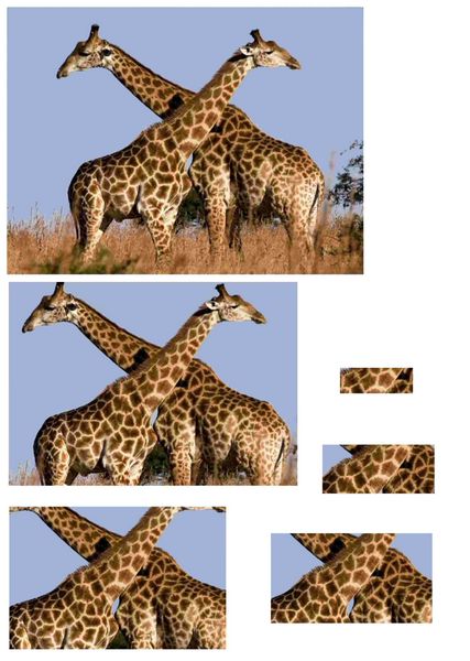 Giraffe Rectangle Stackers - 1 x A4 Page to DOWNLOAD