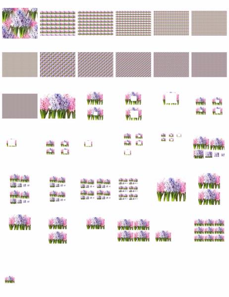 Painted Effect Hyacinth Set 04 Download - 28 Pages to Download