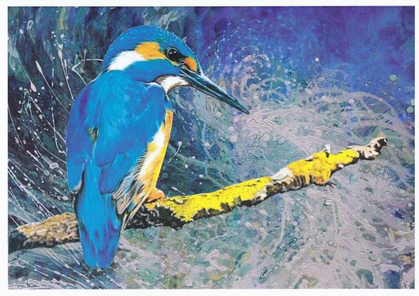 Kingfisher Set 02 Download - 47 Pages