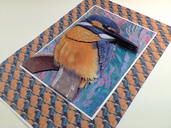 Kingfisher 3D Project 01 Download - 14 Pages