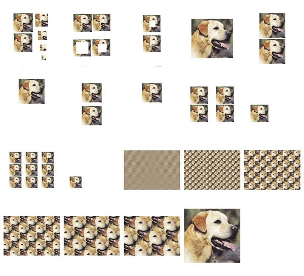 Hand Painted Effect Golden Retriever Set - 14 Pages