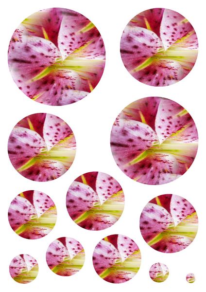 Lily Round Stacking Decoupage - 10 Pages to Download