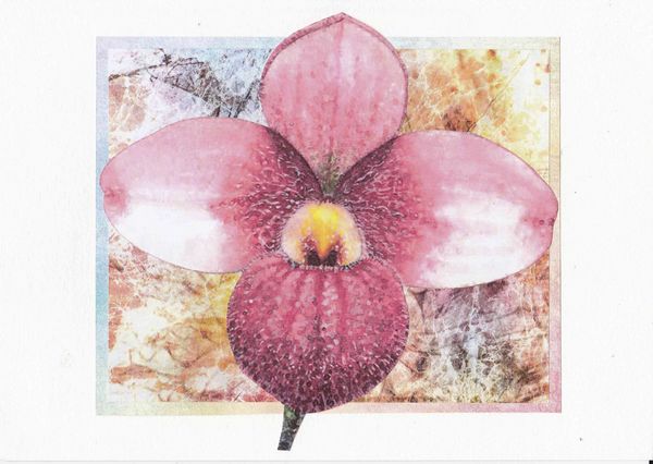 Orchids Toppers 08 - 4 x A4 Pages to Download