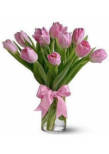 Pink Tulips in a Vase - 53 Pages to Download