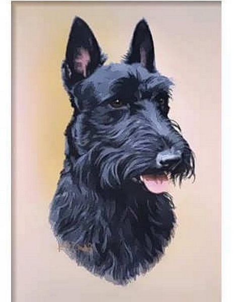 Hand Painted Effect Scottish Terrier Download - 14 Pages