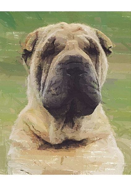 Hand Painted Effect Sharpei Download Set - 19 Pages