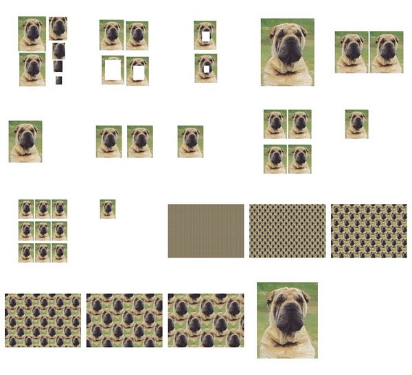 Hand Painted Effect Sharpei Download Set - 19 Pages