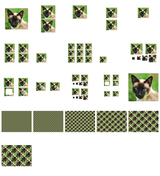 Siamese Cat Set - 4 Pages Download