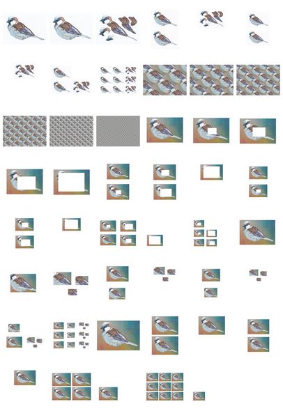 Sparrow Set - 47 x Sheets to Download