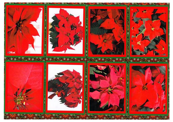 Christmas Toppers Set - 40 Toppers - 5 x A4 Pages to Download