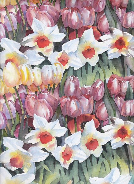 Tulips & Narcissus Download - 8 Pages