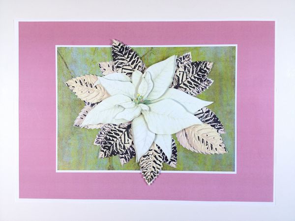 White Poinsettia Project - 6 Pages to Download