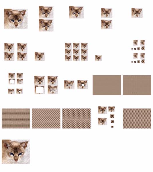Hand Painted Effect Tonkinese Cat Set Download - 21 Pages