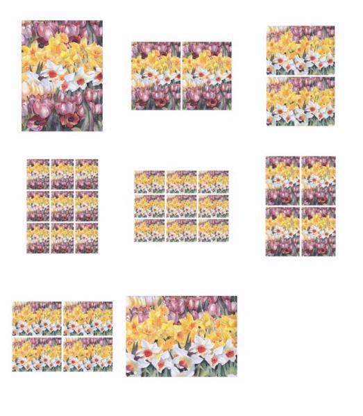 Tulips, Narcissus & Daffodil Download - 4 Sizes - 8 x A4 Pages