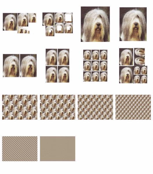 .Hand Painted Effect Bearded Collie DOWNLOAD - 14 Pages
