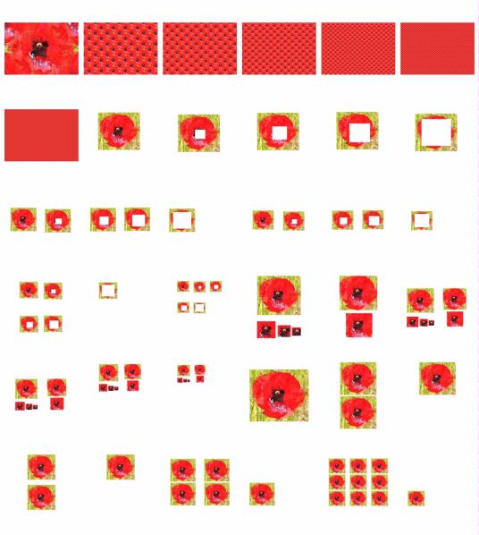 Vivid Poppies Set - 36 Pages to Download