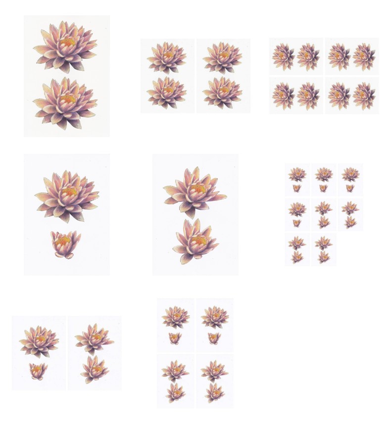 Wonderful Waterlillies Set 01 - 8 Pages to Download