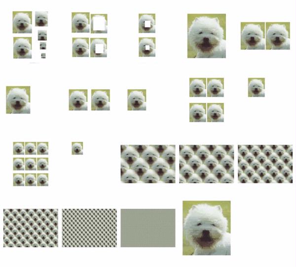 Hand Painted Effect West Highland Terrier - 19 Sheets to Download