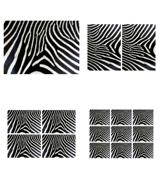<b>Zebra Print Set 5 - 4 Pages To DOWNLOAD