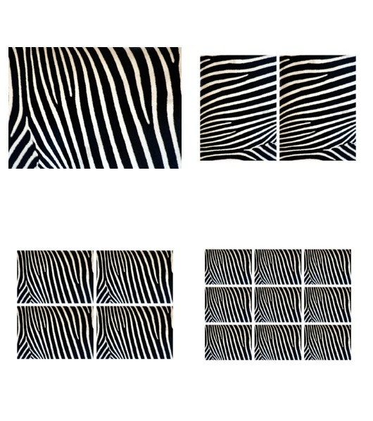 <b>Zebra Print Set 6 - 4 Pages To DOWNLOAD