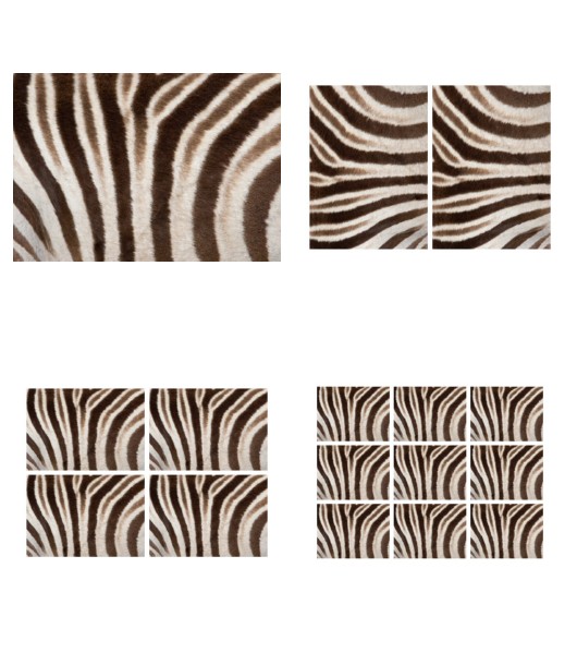 <b>Zebra Print Set 7- 4 Pages To DOWNLOAD