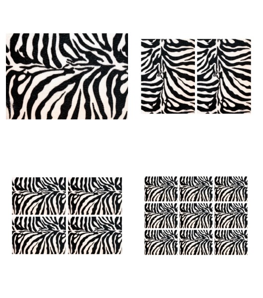 <b>Zebra Print Set 8 - 4 Pages To DOWNLOAD